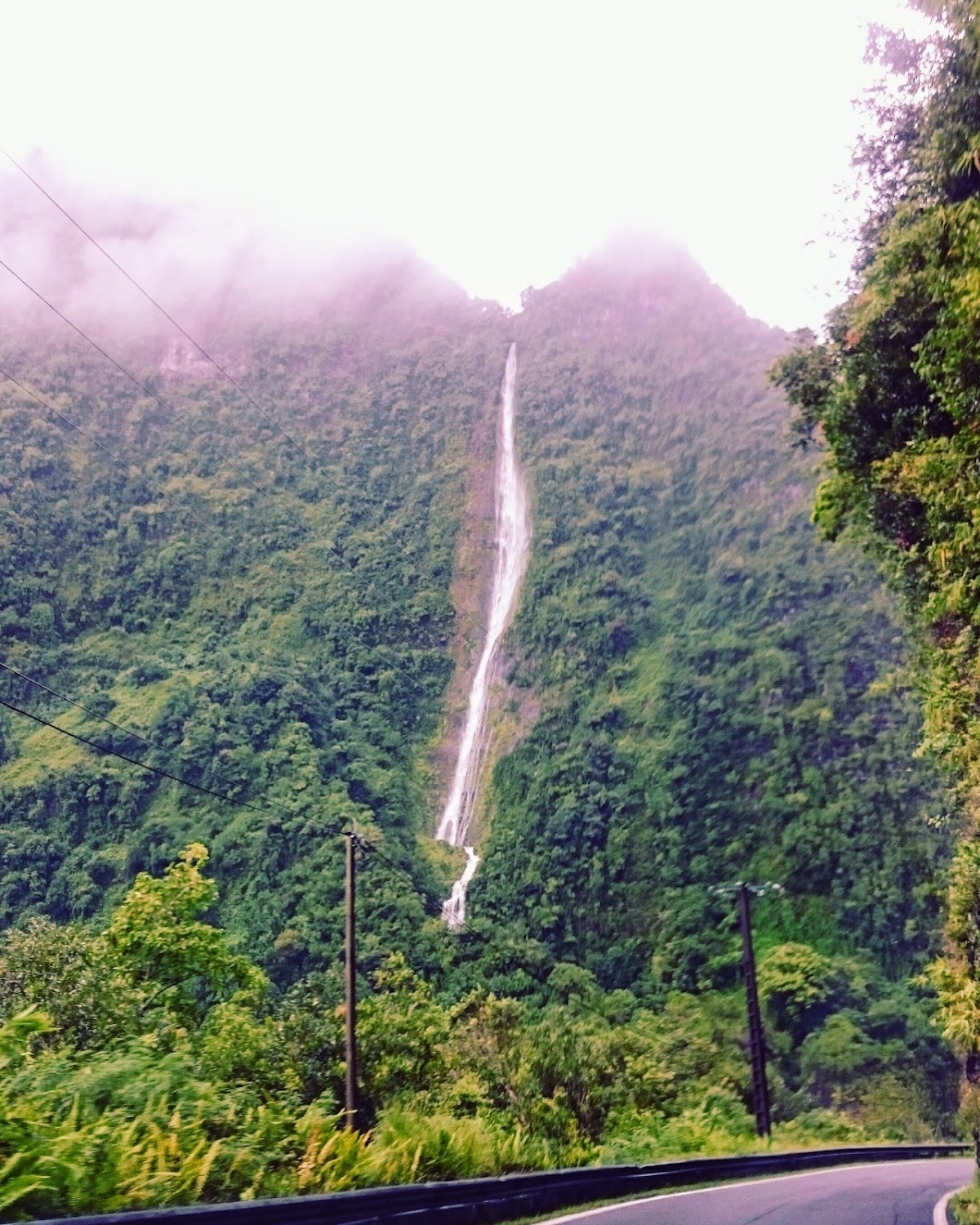 Salazie - intérieur